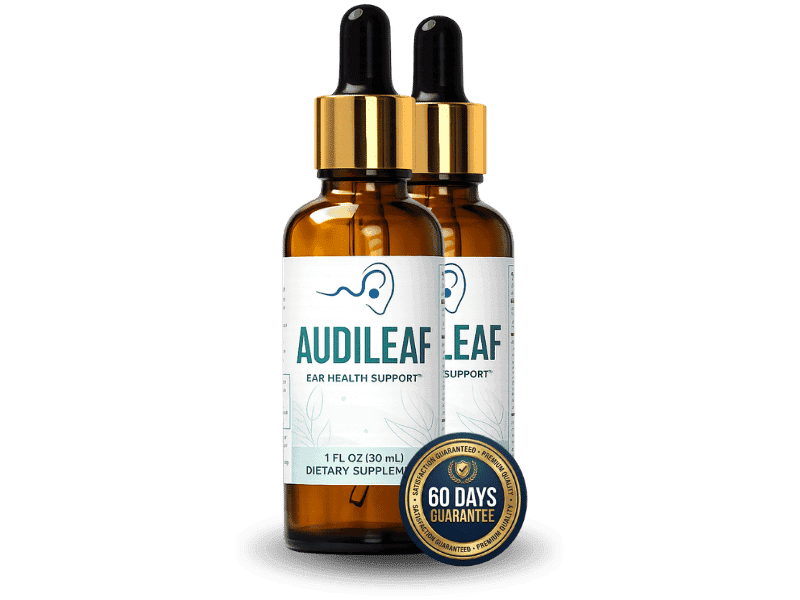 AudiLeaf Best Value – thumbnail 3