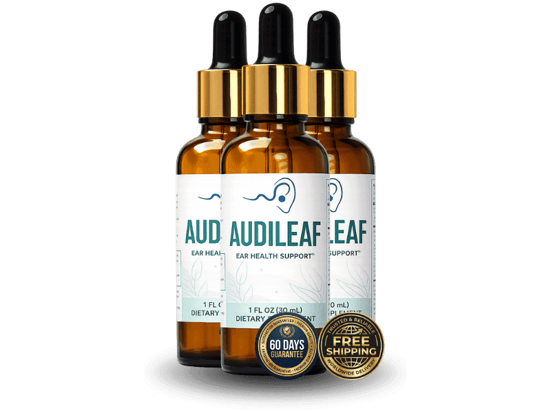 AudiLeaf Best Value – thumbnail 2