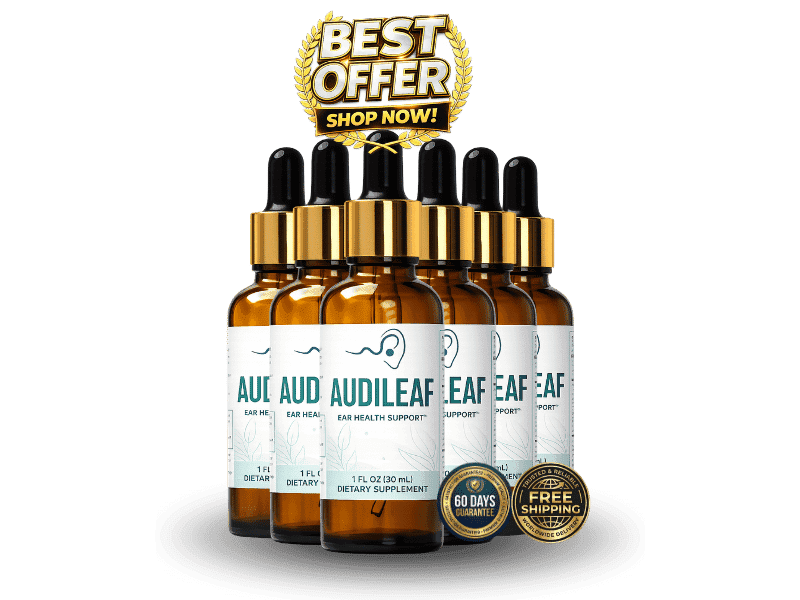 AudiLeaf Best Value – image 1