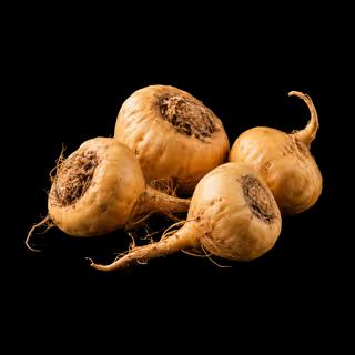 Maca Root (Lepidium meyenii)