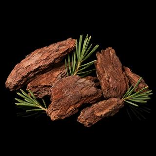 Pine Bark Extract (Pinus pinaster)