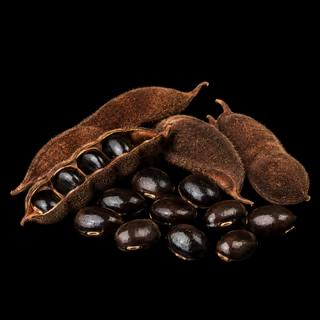 Velvet Bean (Mucuna pruriens)